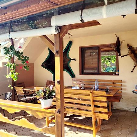 Casa Viviana Hotel Moldvabánya Kültér fotó