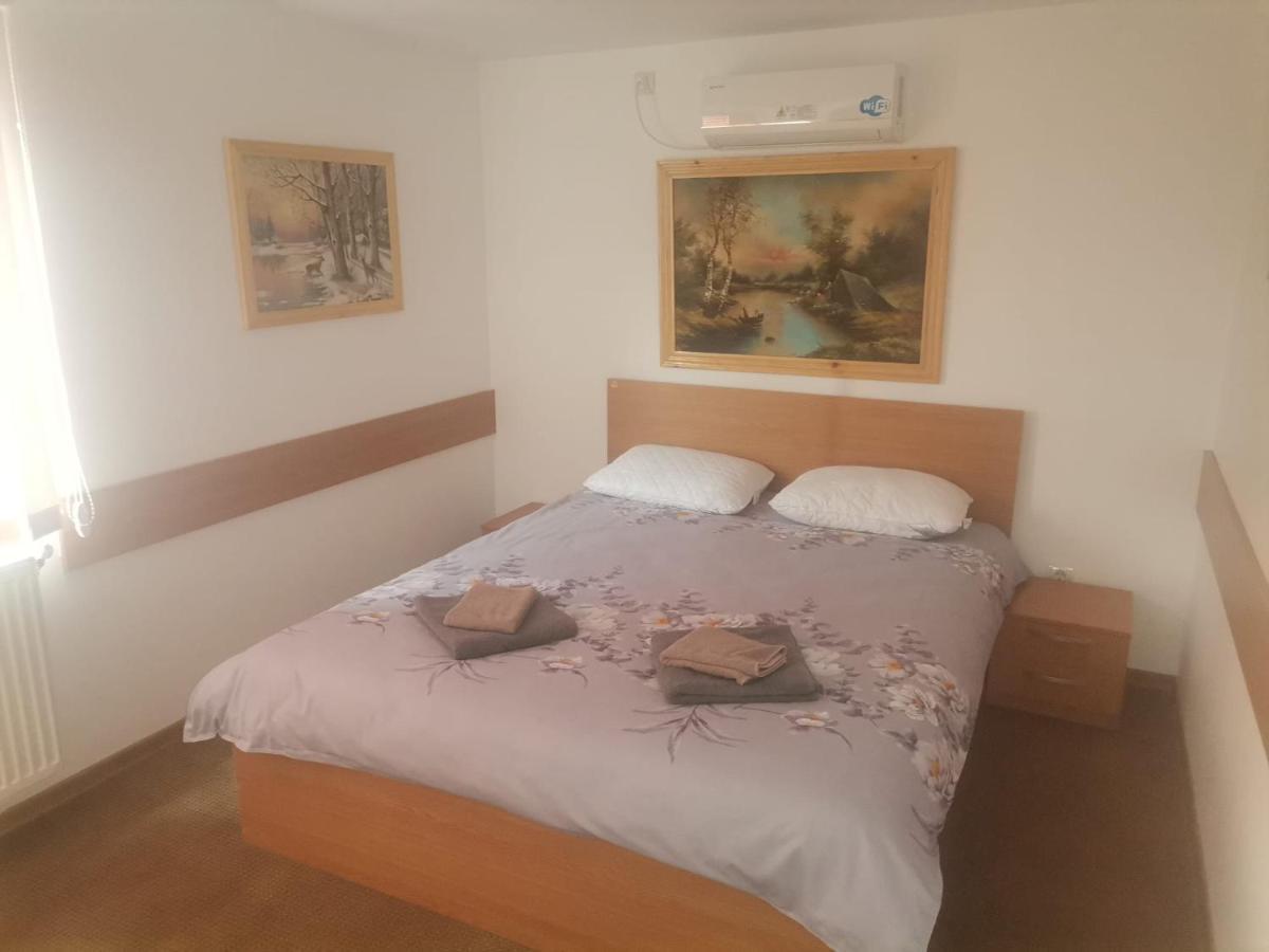 Casa Viviana Hotel Moldvabánya Kültér fotó