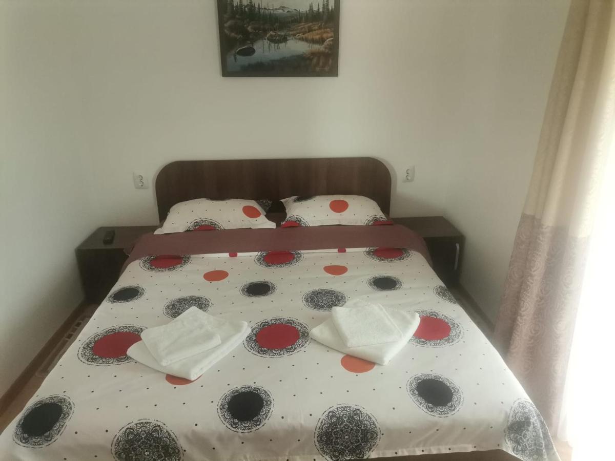 Casa Viviana Hotel Moldvabánya Kültér fotó