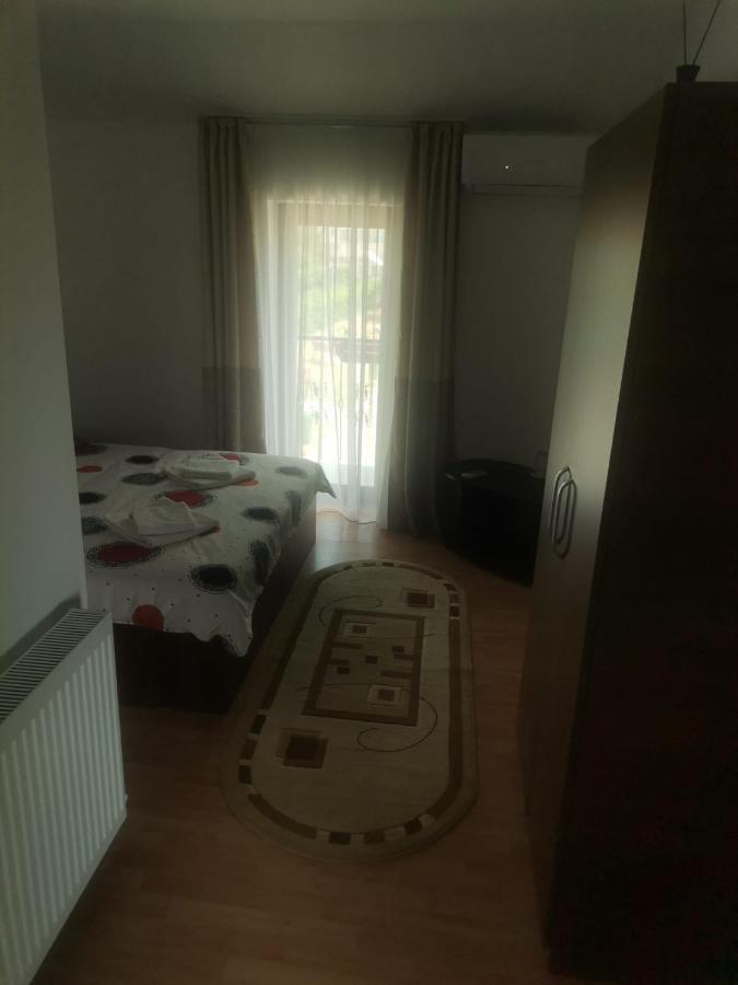 Casa Viviana Hotel Moldvabánya Kültér fotó