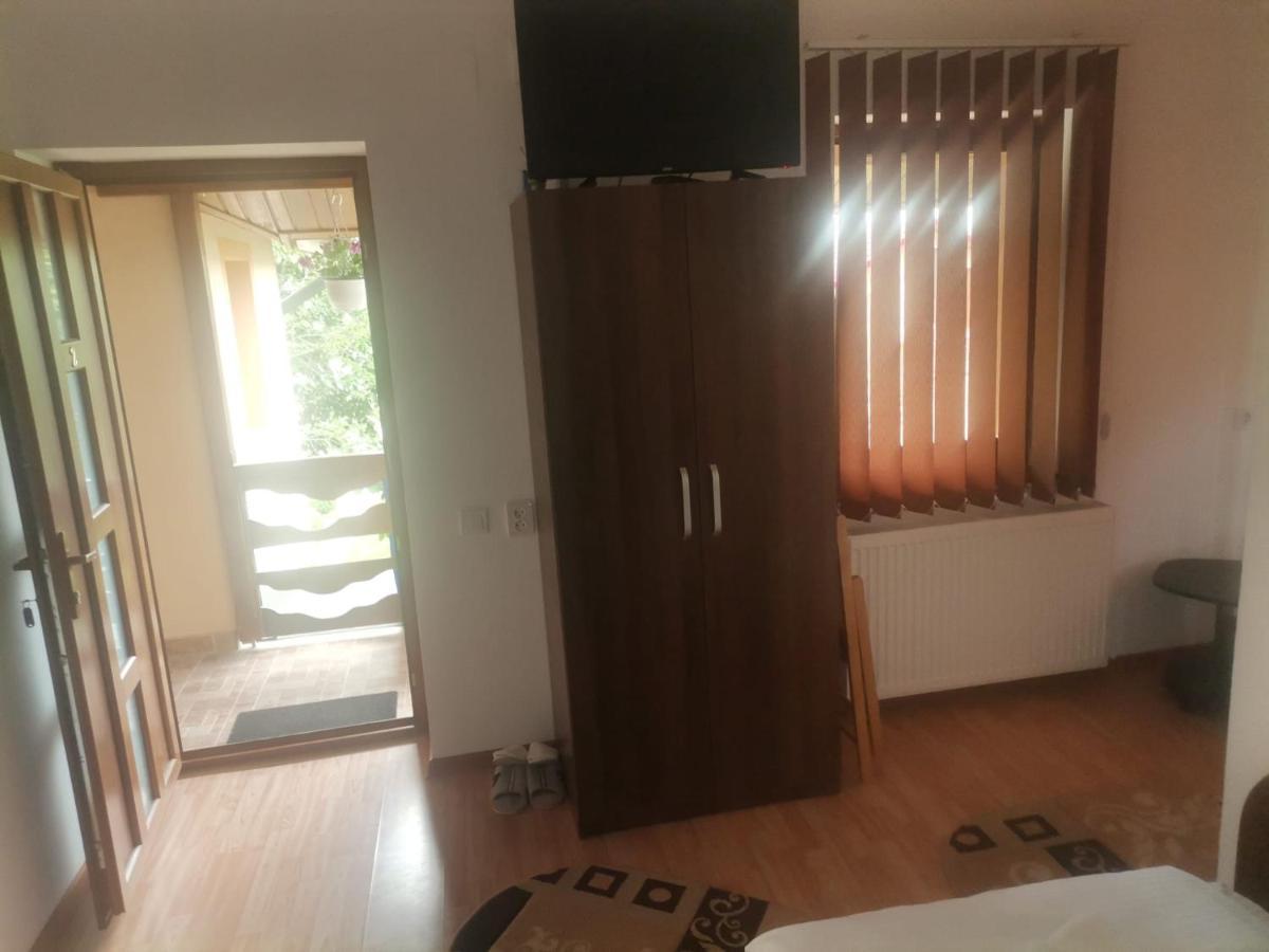 Casa Viviana Hotel Moldvabánya Kültér fotó