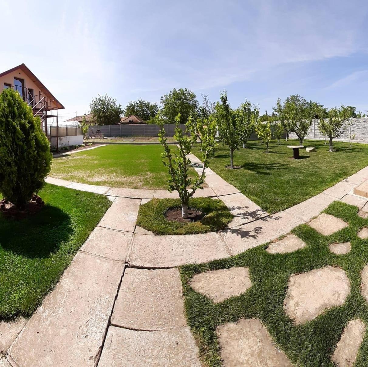 Casa Viviana Hotel Moldvabánya Kültér fotó