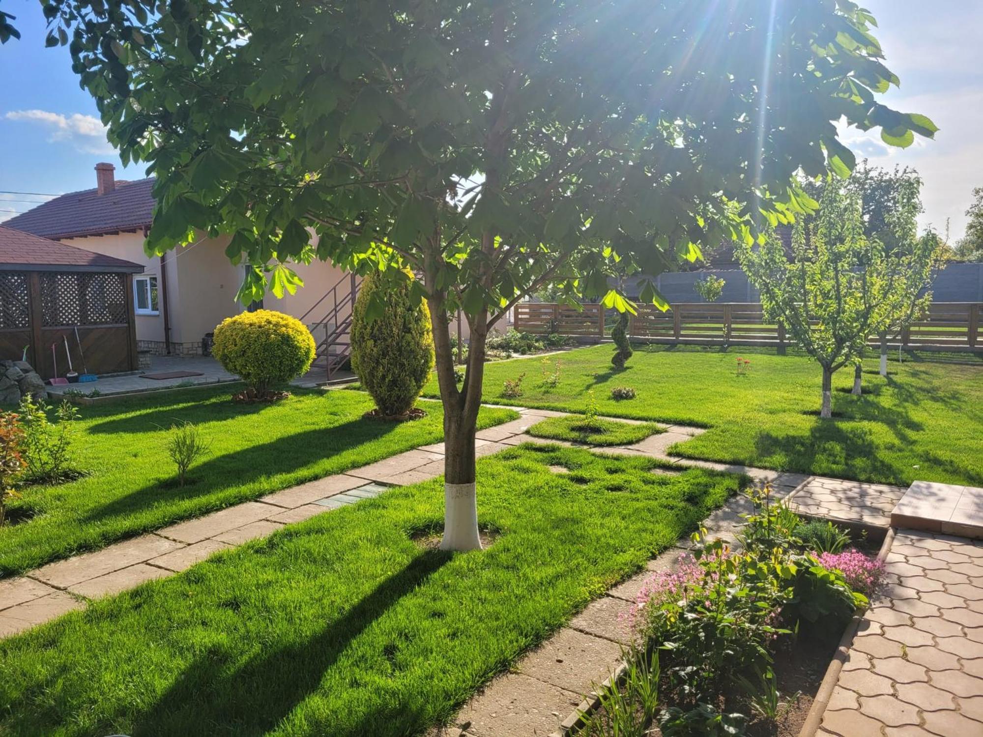 Casa Viviana Hotel Moldvabánya Kültér fotó