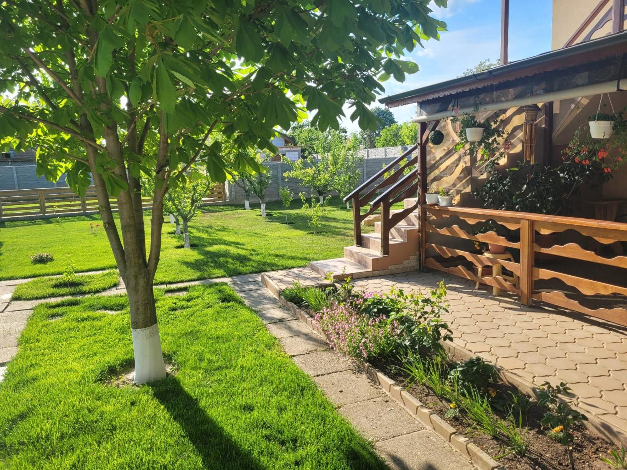 Casa Viviana Hotel Moldvabánya Kültér fotó